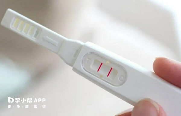 验孕棒通过尿液检测是否怀孕